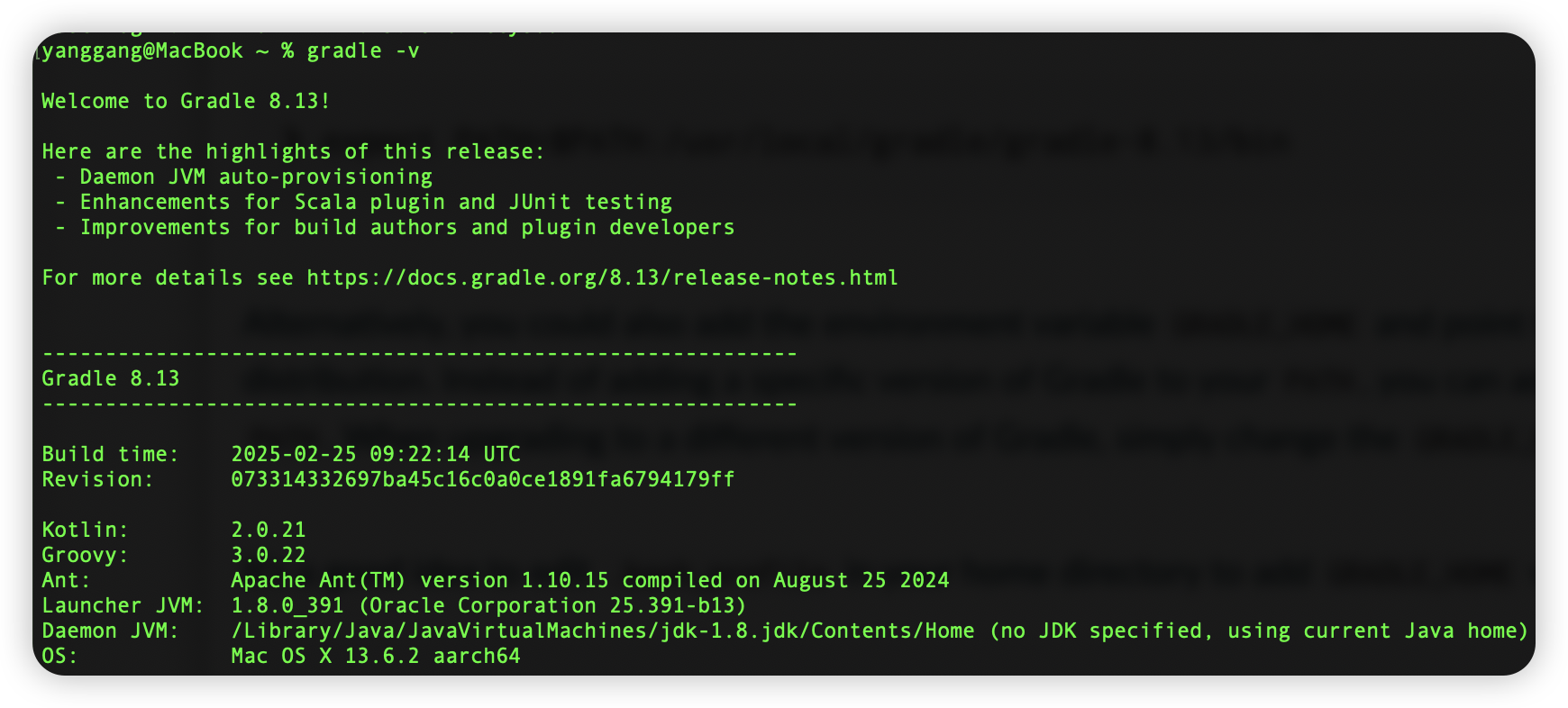 image-20250324173203853